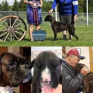 Meet your Posher, Dave